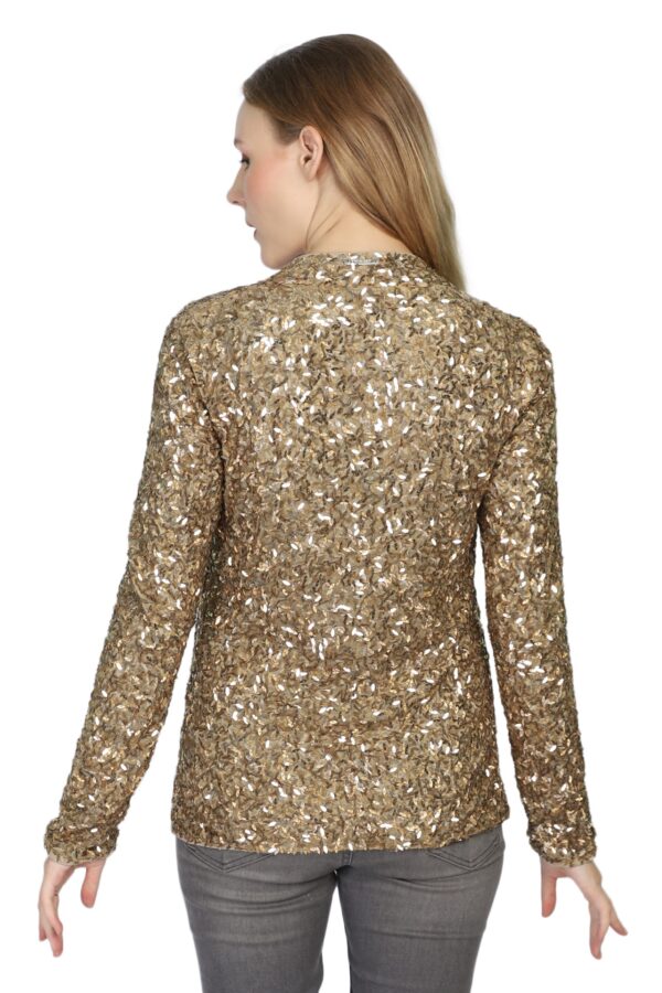 Gold leaf embroidered Jacket - Image 6